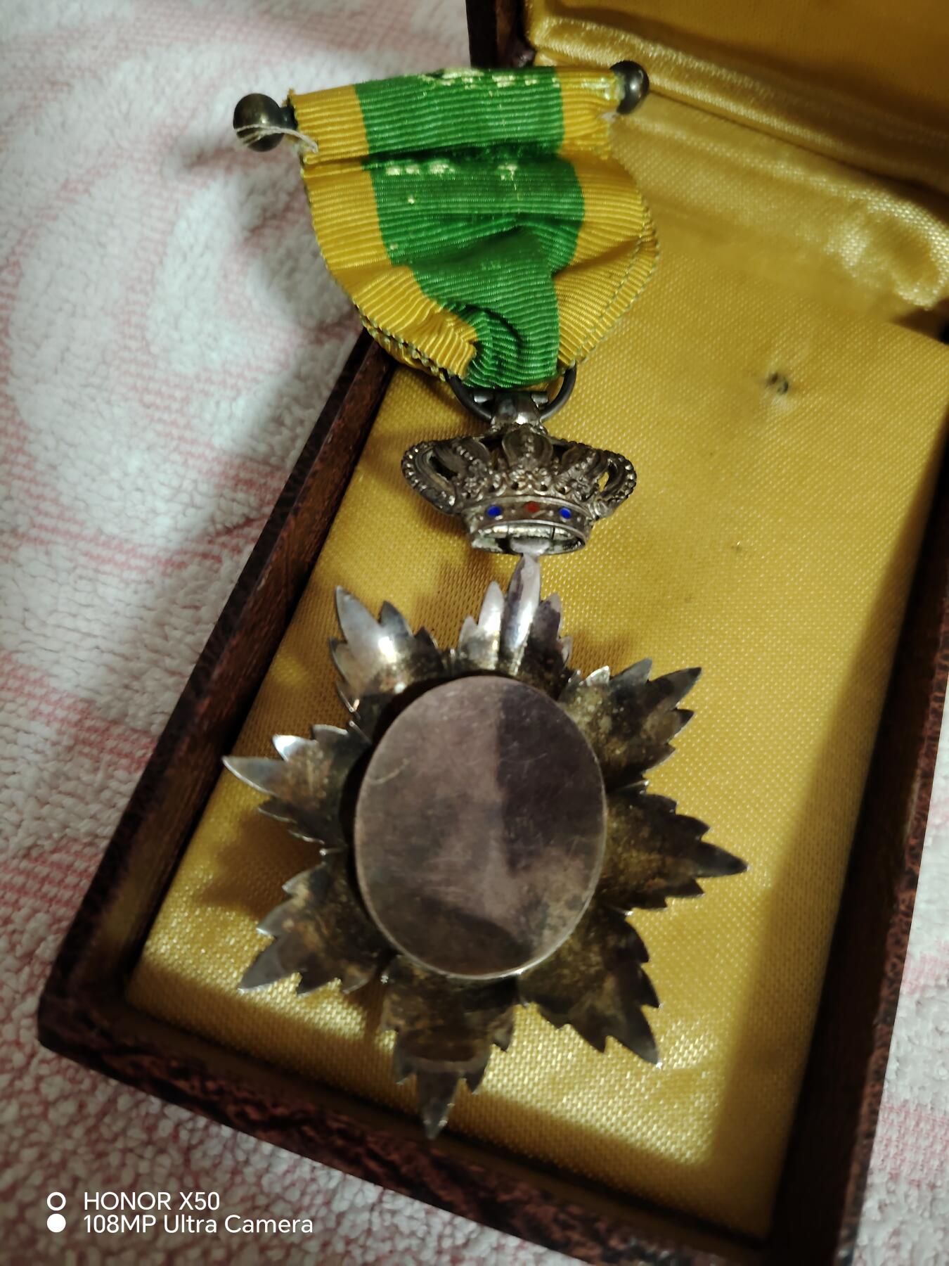 城南花开🌷84场 外国徽章（品相如图，不知具体）