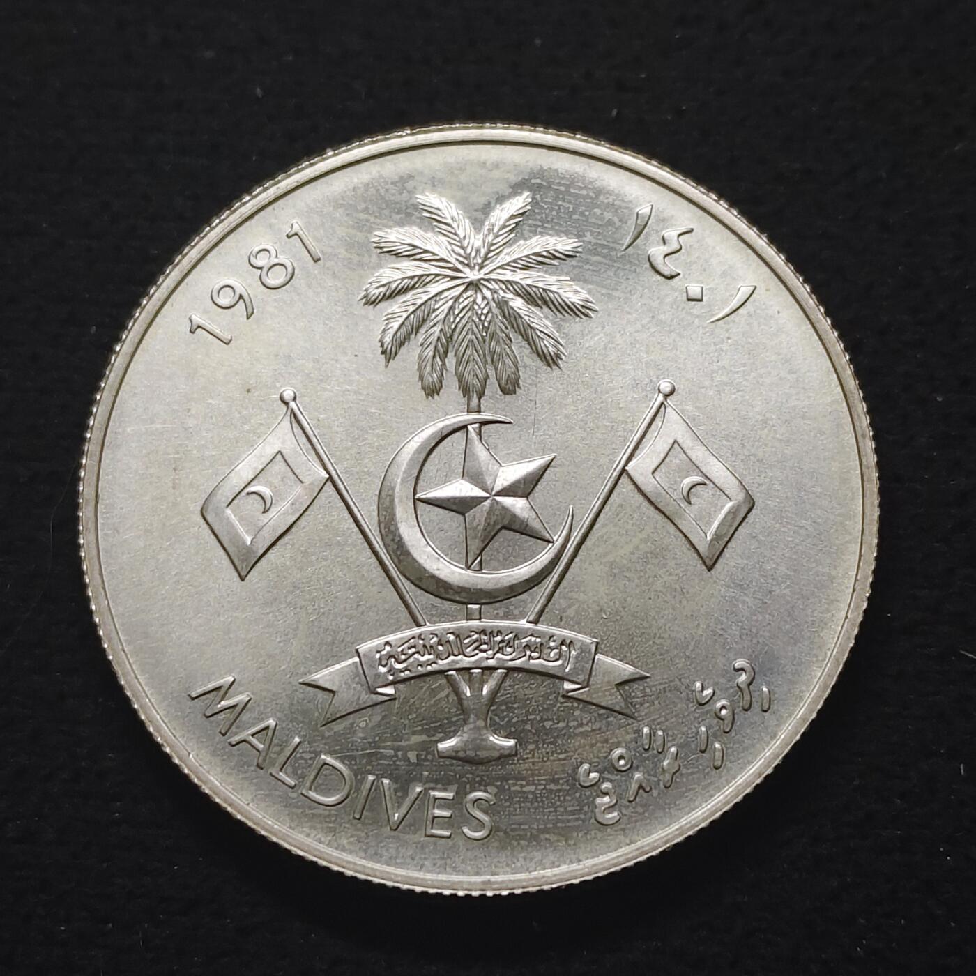 【全场包邮】纯粹捡漏拍491场（免费代拍第28场）