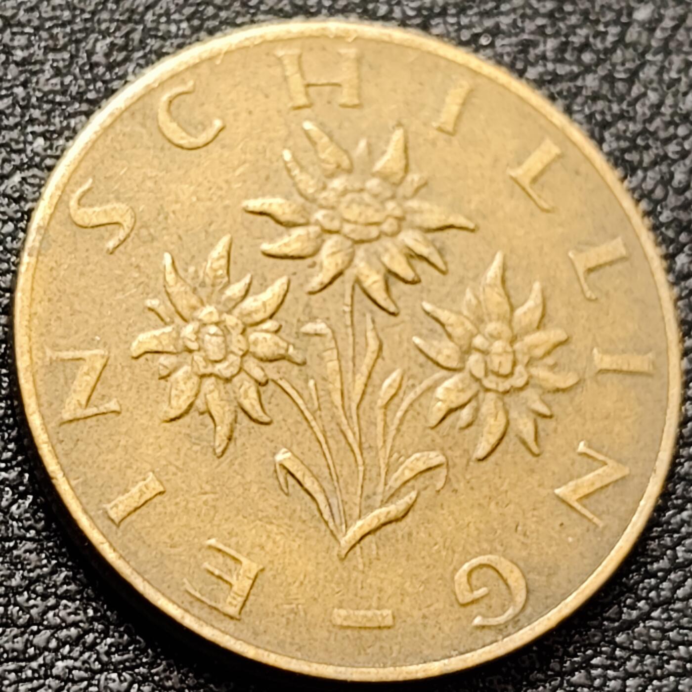 泉币菌-第157场-跨年欢乐场（特修改截拍时间为23:30分）