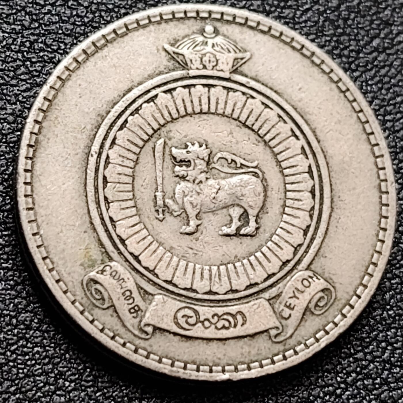 泉币菌-第157场-跨年欢乐场（特修改截拍时间为23:30分）