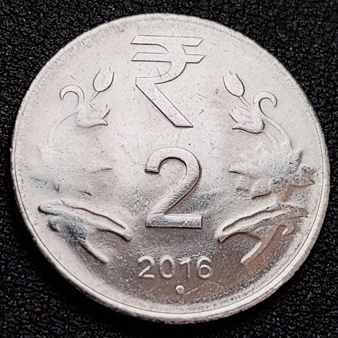 泉币菌-第158场-元旦欢乐场，开年第一场，新年快乐！（特修改截拍时间为23:30分） 。