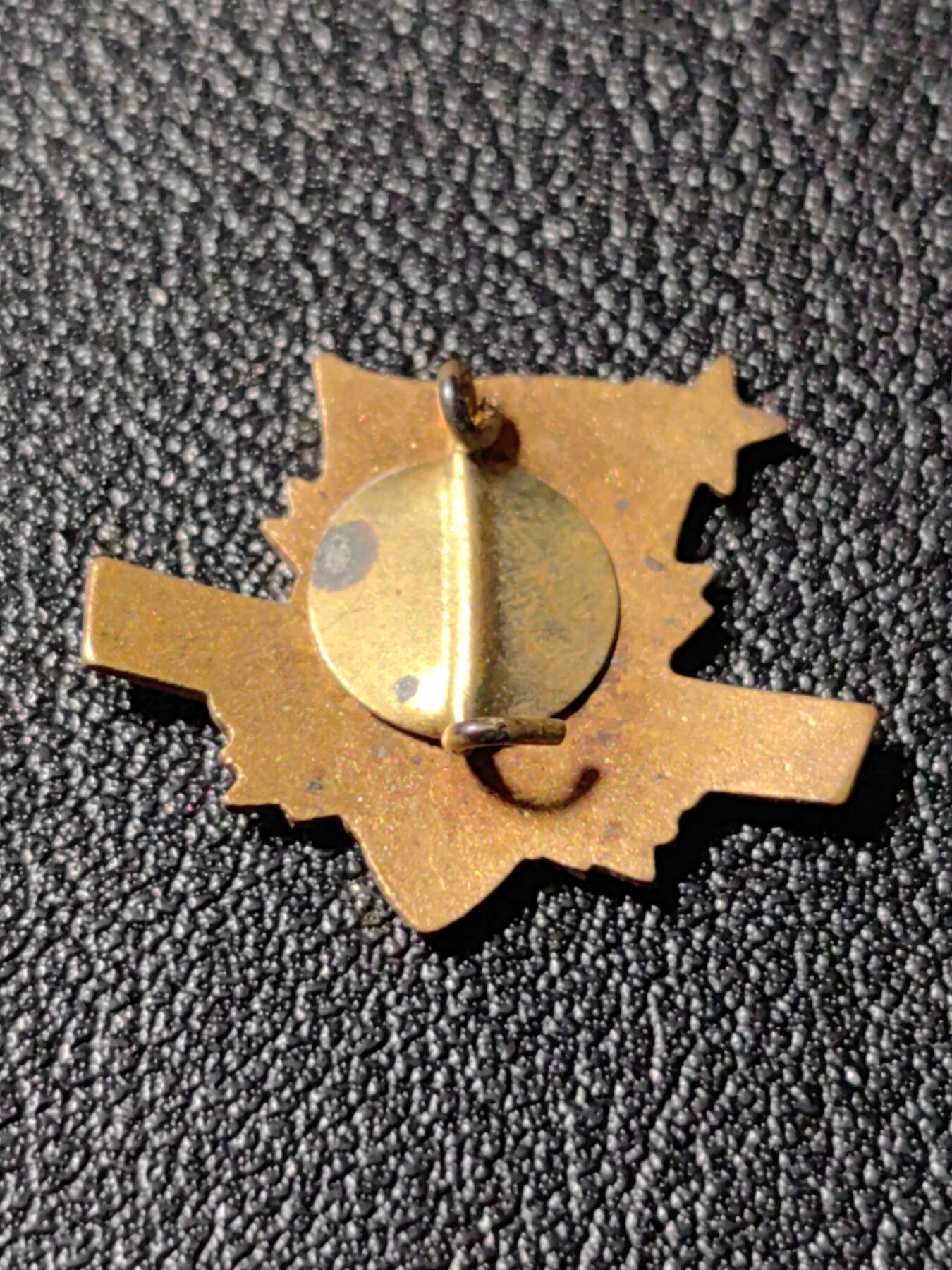 靖甫拍卖新拍第一场 匈牙利一级共青团员证章 铜珐琅 别针断裂