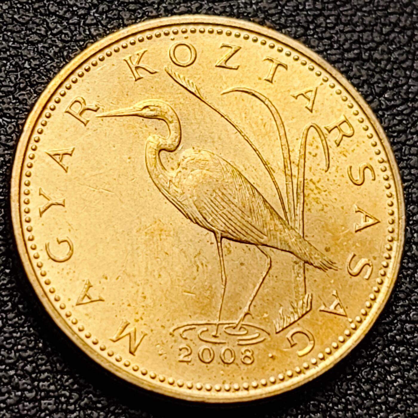 泉币菌-第157场-跨年欢乐场（特修改截拍时间为23:30分）