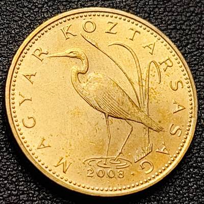 泉币菌-第157场-跨年欢乐场（特修改截拍时间为23:30分） - 铜光美品 白鹭  匈牙利5福林硬币 2008年 直径21MM  