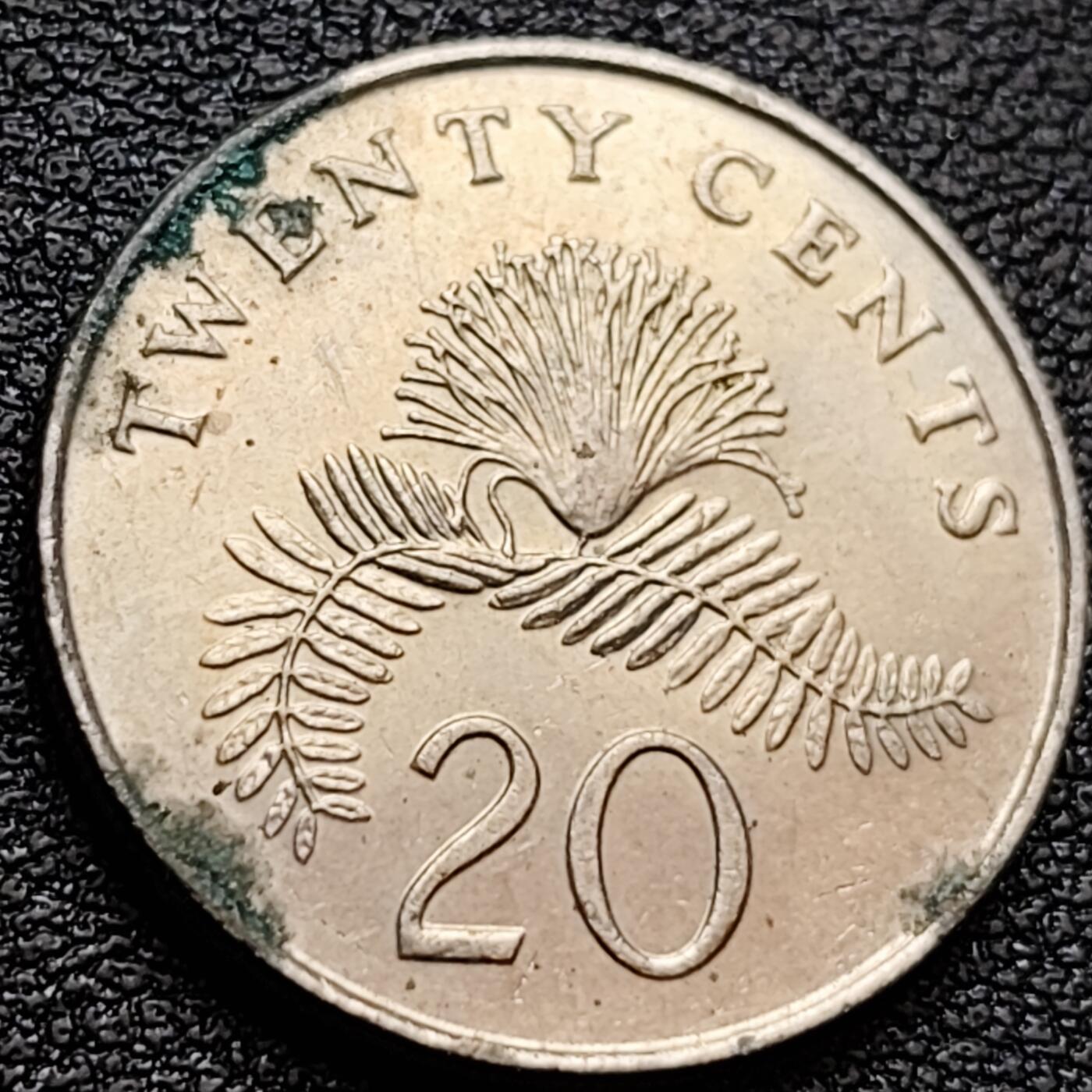 泉币菌-第157场-跨年欢乐场（特修改截拍时间为23:30分）