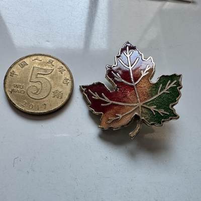 🌹外币初藏🌹🐯2026年第1场  每周二四六晚8️⃣点 接代拍 - 枫叶胸针 珐琅工艺