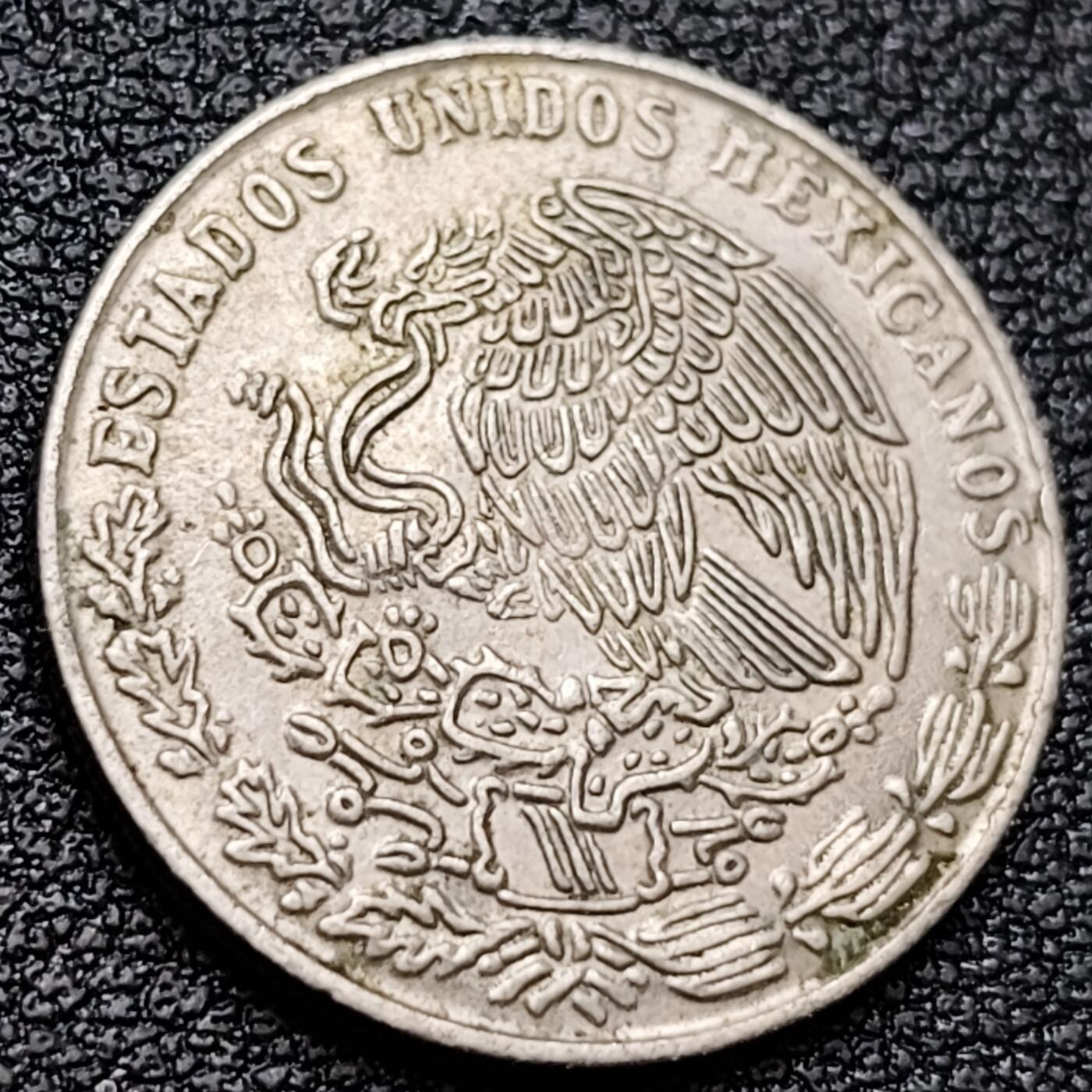 泉币菌-第157场-跨年欢乐场（特修改截拍时间为23:30分）