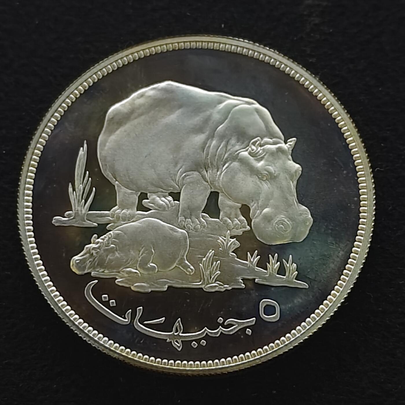 【全场包邮】纯粹捡漏拍491场（免费代拍第28场） 【少见】苏丹1976年5镑WWF组织十五周年河马超大精制（42毫米35克）纪念银币-量5393