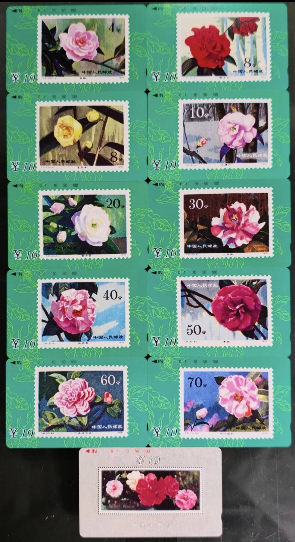 公藏第60期裸卡拍卖 甘肃田村卡【山茶花】11全品相钢印码见描述。