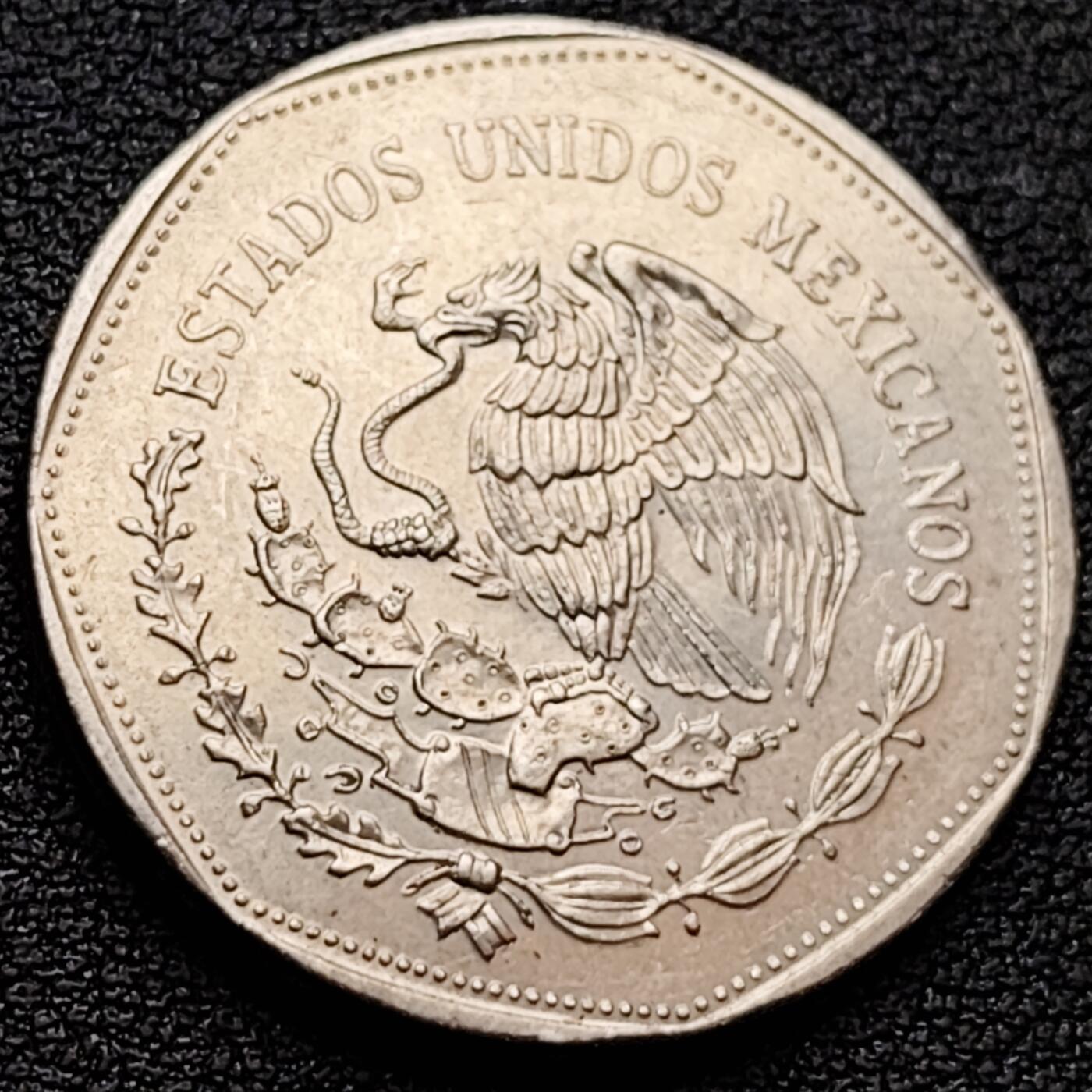 泉币菌-第157场-跨年欢乐场（特修改截拍时间为23:30分）