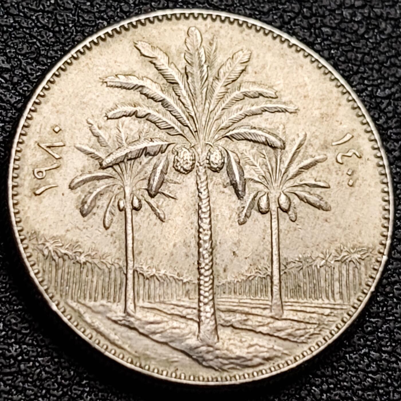 泉币菌-第157场-跨年欢乐场（特修改截拍时间为23:30分） 伊拉克硬币 萨达姆执政时期异形币50费尔 椰树版 