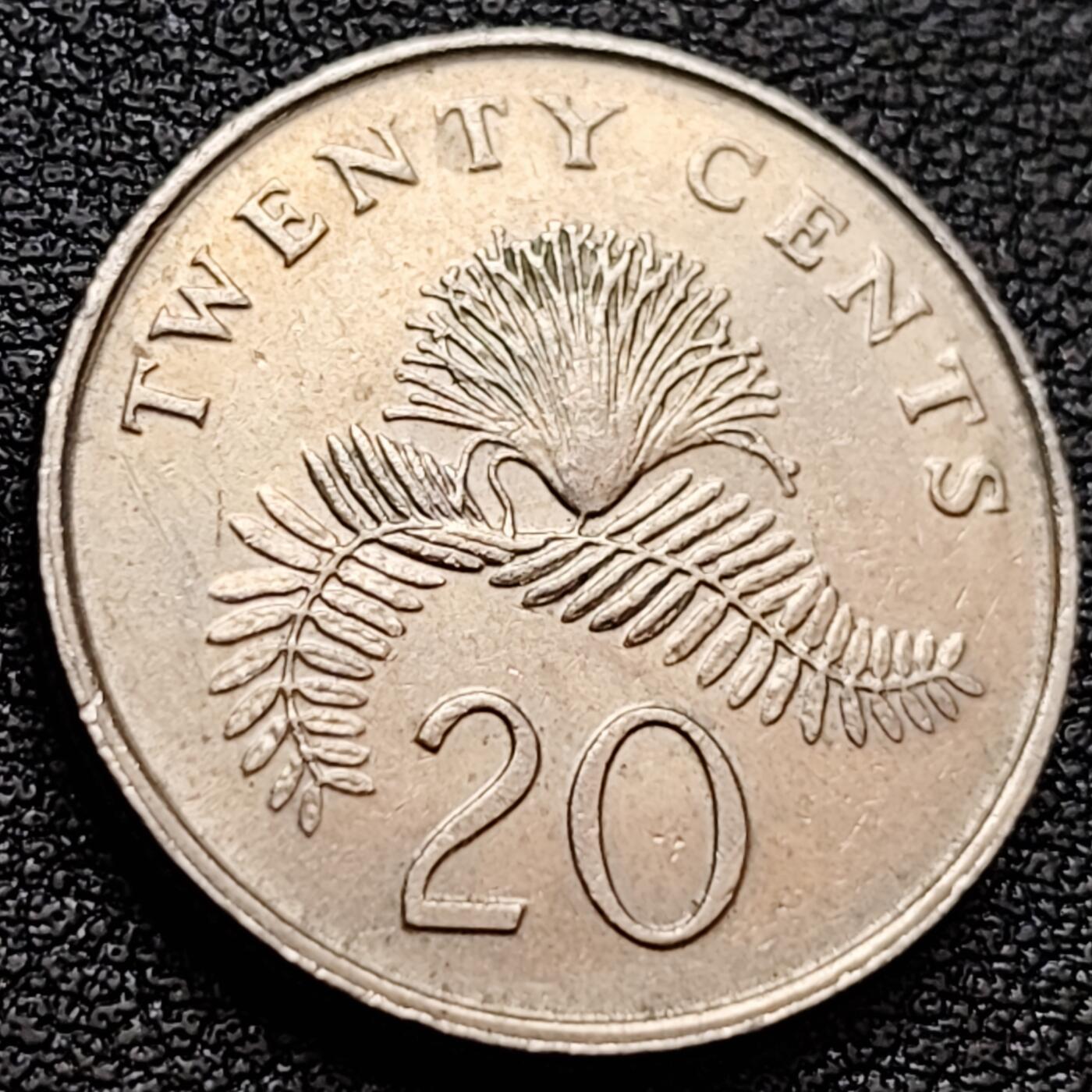 泉币菌-第157场-跨年欢乐场（特修改截拍时间为23:30分）