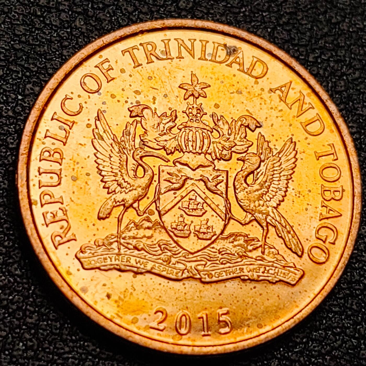 泉币菌-第158场-元旦欢乐场，开年第一场，新年快乐！（特修改截拍时间为23:30分） 。