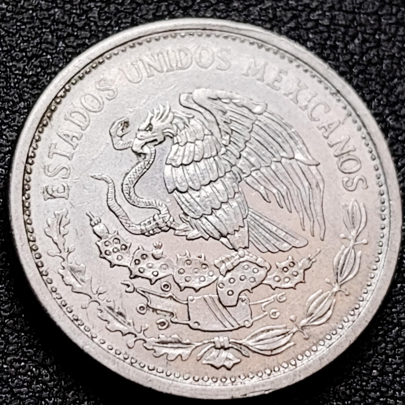 泉币菌-第158场-元旦欢乐场，开年第一场，新年快乐！（特修改截拍时间为23:30分） 。