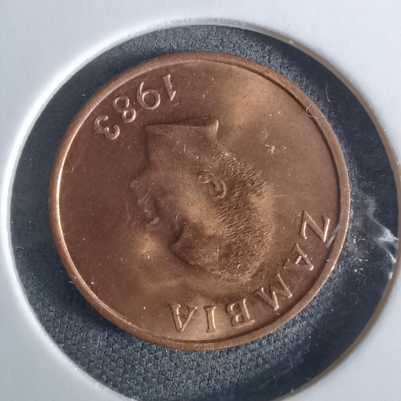 沼泽如烟--第948场