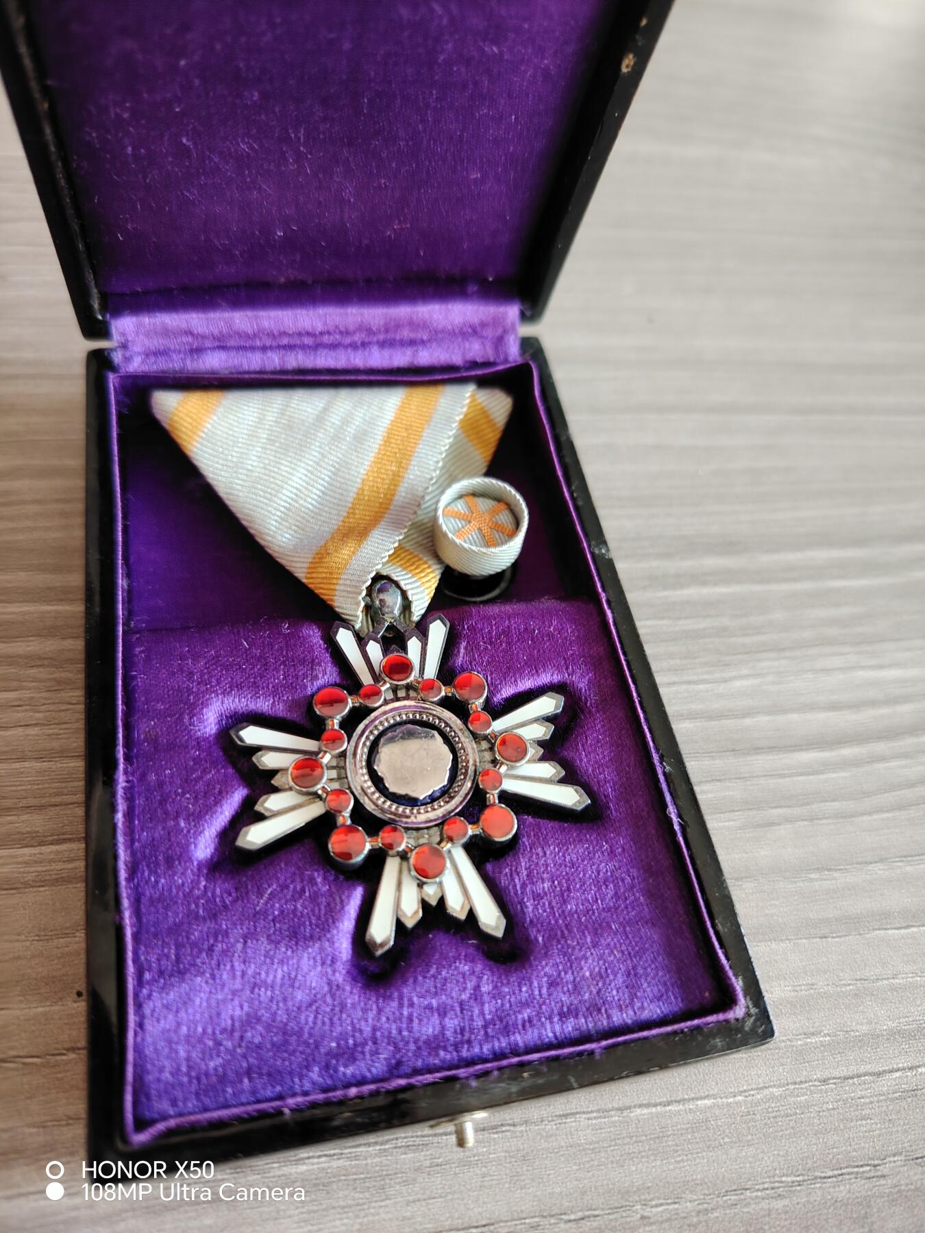 城南花开🌷84场