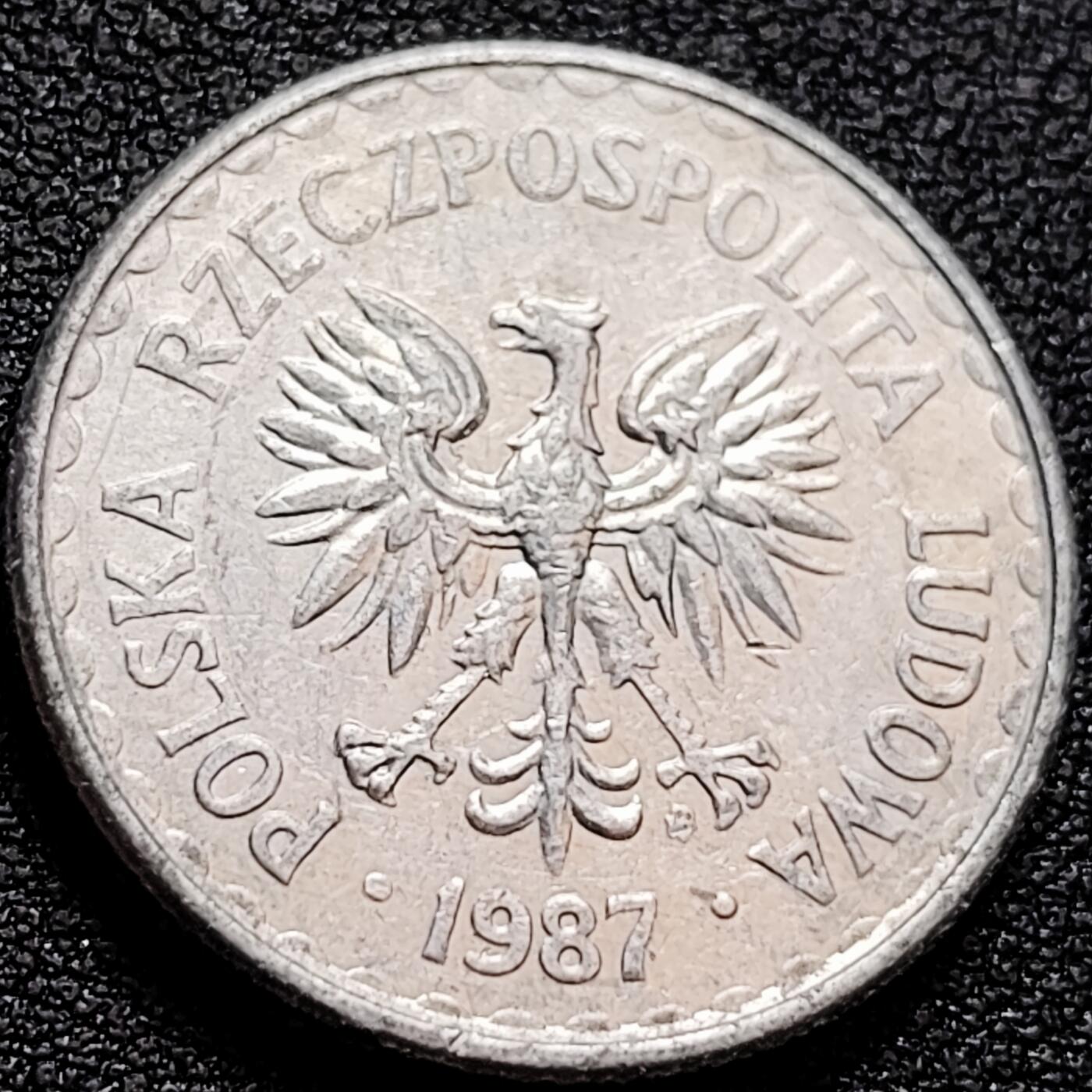 泉币菌-第158场-元旦欢乐场，开年第一场，新年快乐！（特修改截拍时间为23:30分） 。