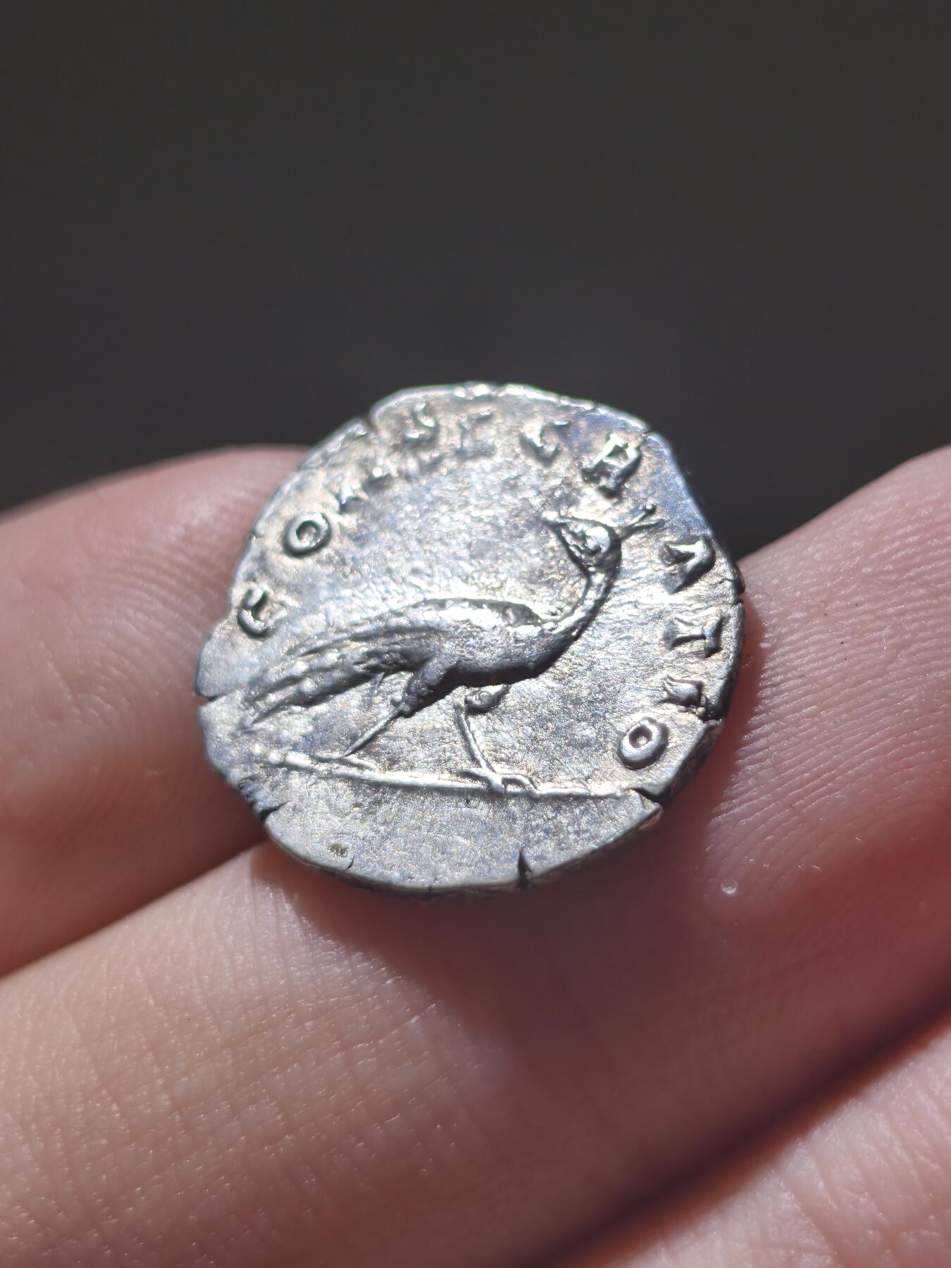 星盘世界钱币2026一月十日新年古典精品大拍 精彩纷呈 精美！古罗马帝国 - 安娜·伽列里娅·福斯蒂娜 (大福斯蒂娜) 第纳里银币 背面孔雀，这是非常经典的名誉品种，孔雀币也是非常受到藏家追捧的一类型，这一枚无论从表面还是打制来讲，都是绝对可以美美入藏的精品