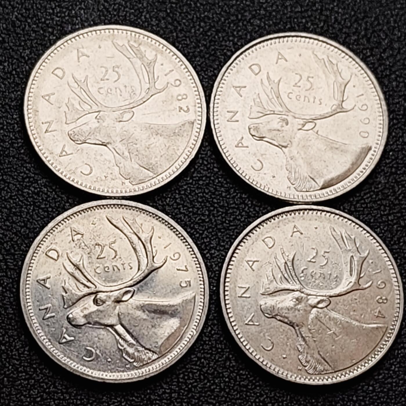 泉币菌-第157场-跨年欢乐场（特修改截拍时间为23:30分）