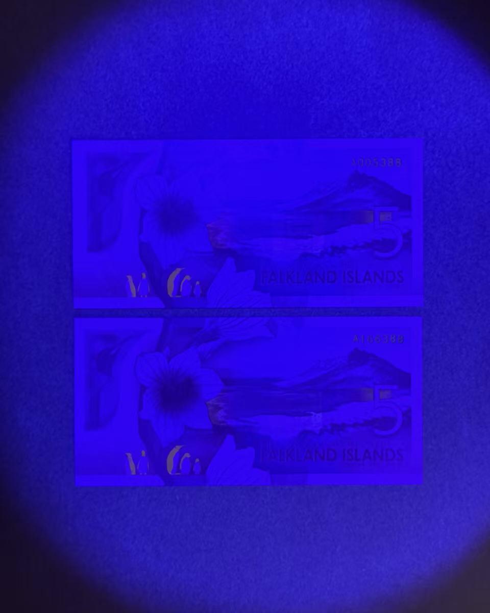 【Blue Auction】世界纸币精拍第770期——18级TOP拍卖/信誉/品质/专业/高效💫 【一组2张88尾无47 含千位小号】福克兰群岛 2025年5镑 全新UNC