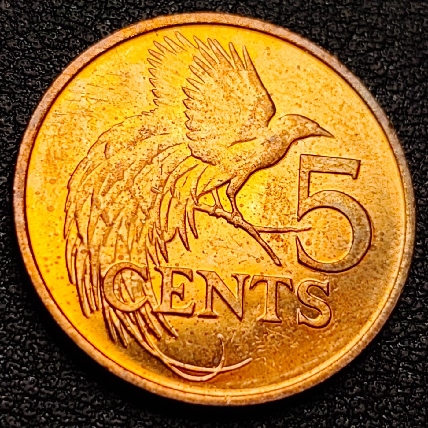 泉币菌-第158场-元旦欢乐场，开年第一场，新年快乐！（特修改截拍时间为23:30分） 。