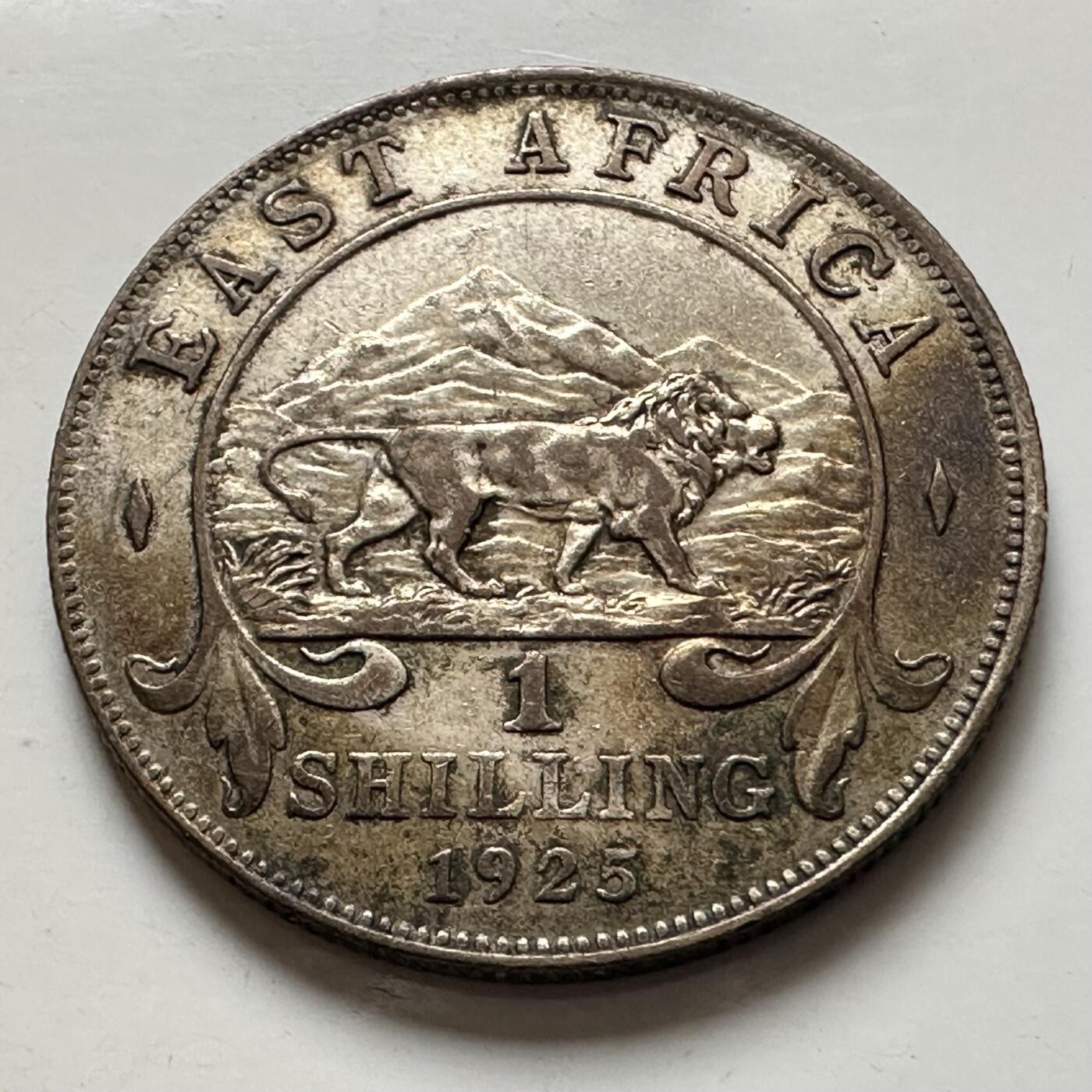 🌹外币初藏🌹🐯2026年第1场  每周二四六晚8️⃣点 接代拍 英属东非1925年一先令银币