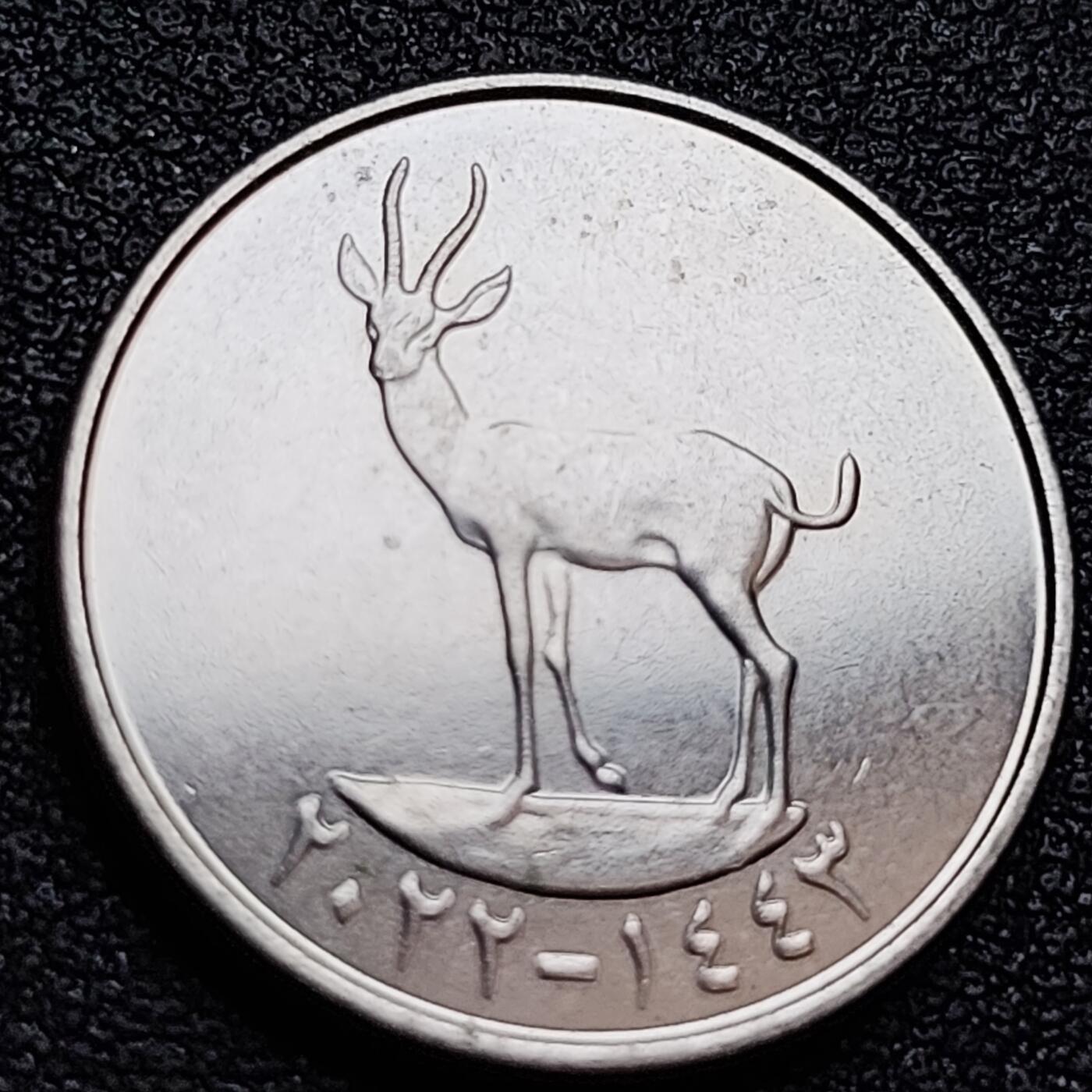 泉币菌-第158场-元旦欢乐场，开年第一场，新年快乐！（特修改截拍时间为23:30分） 。