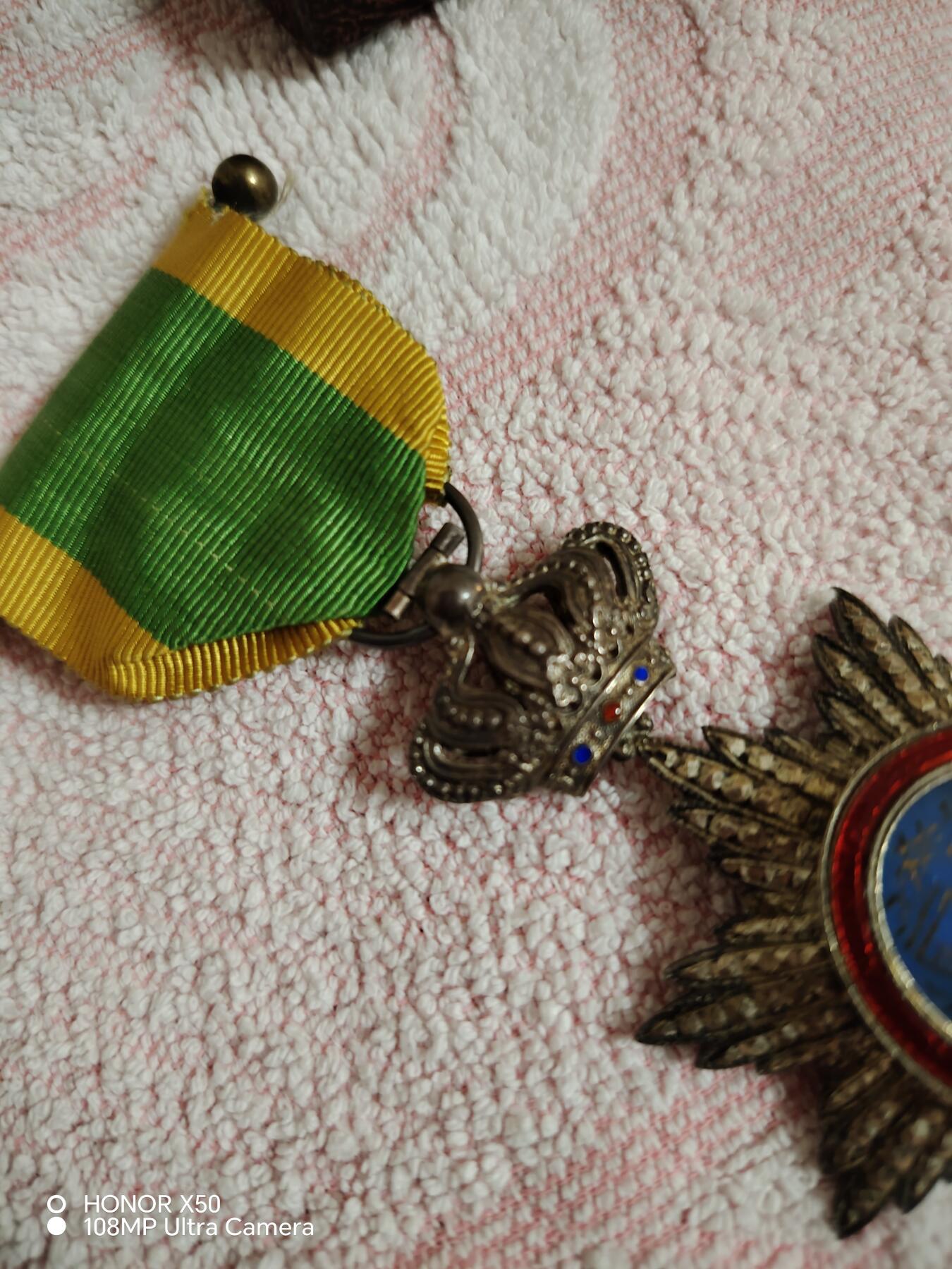 城南花开🌷84场 外国徽章（品相如图，不知具体）