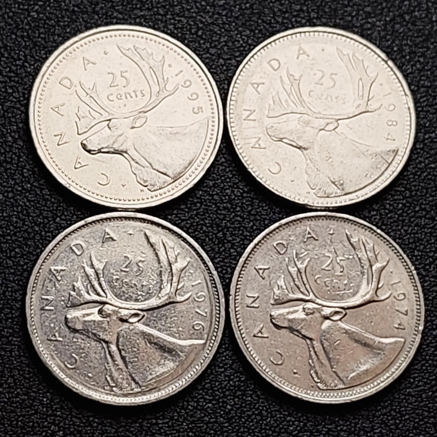 泉币菌-第157场-跨年欢乐场（特修改截拍时间为23:30分）