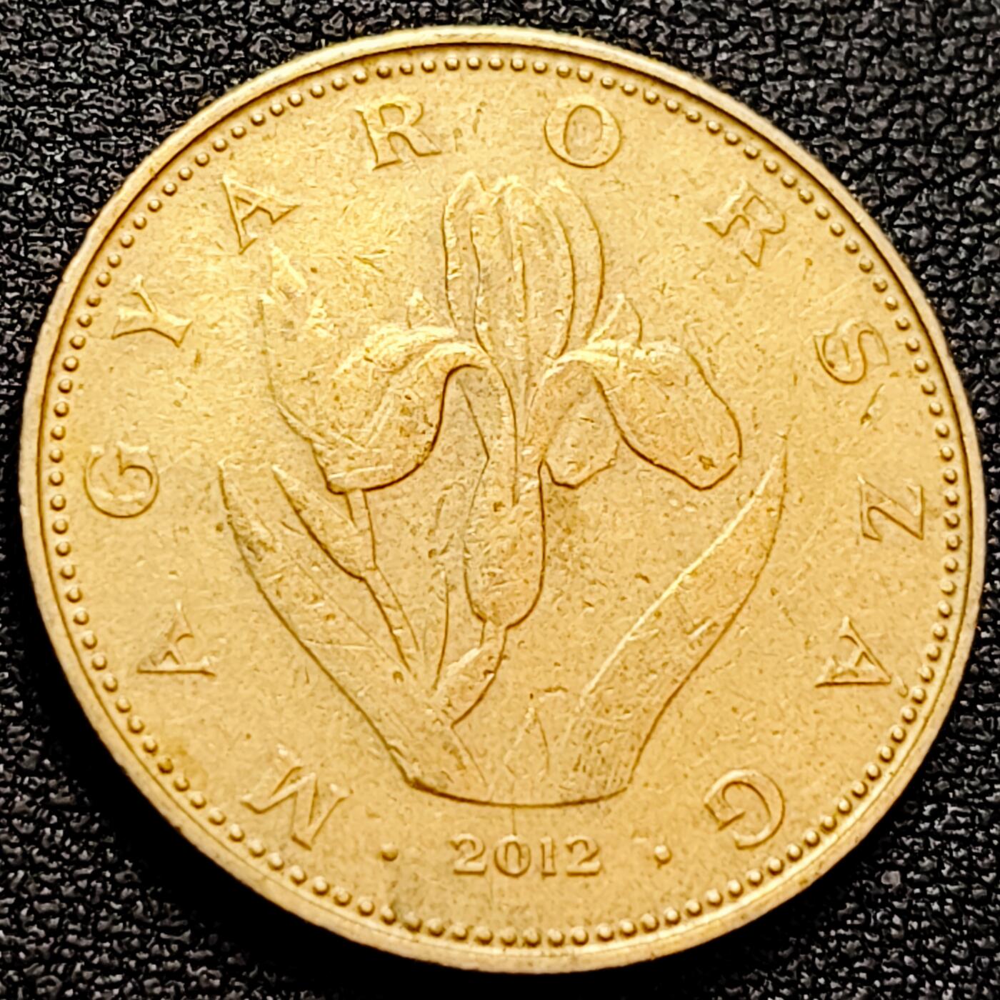 泉币菌-第158场-元旦欢乐场，开年第一场，新年快乐！（特修改截拍时间为23:30分） 。