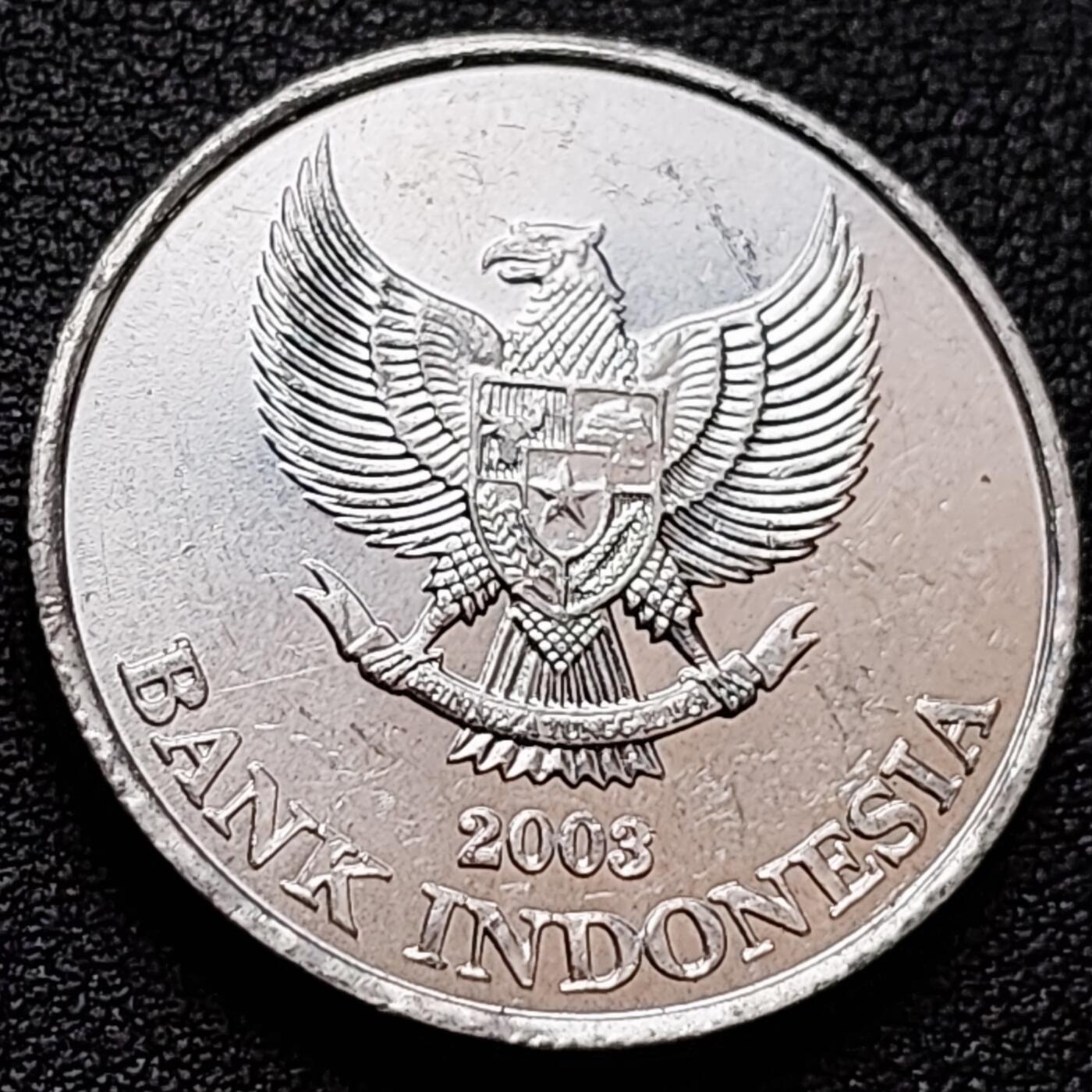 泉币菌-第157场-跨年欢乐场（特修改截拍时间为23:30分）