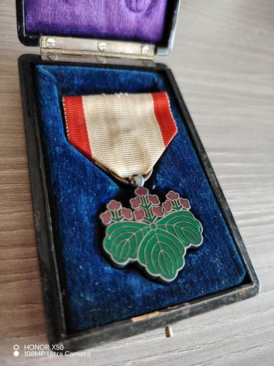 城南花开🌷84场 - 青叶子带盒略（斋藤正）