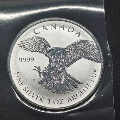 【全场包邮】纯粹捡漏拍491场（免费代拍第28场） - 加拿大2016年5元游隼1盎司（38毫米31.1克）9999纯银币