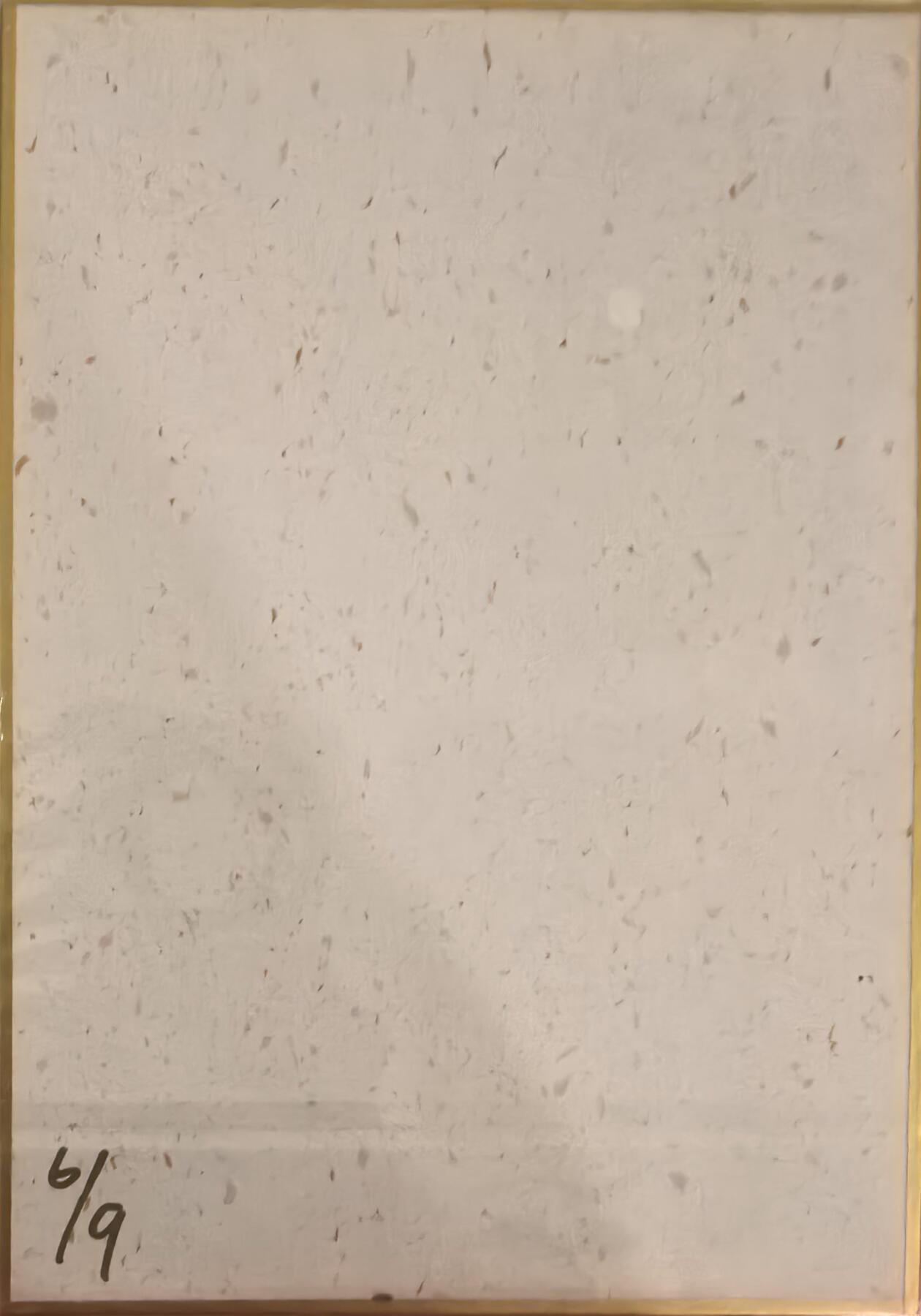 丫丫卡拍--跨年特档*满赠妲己特卡，本场包含之前流拍品（12月31日22点截拍）