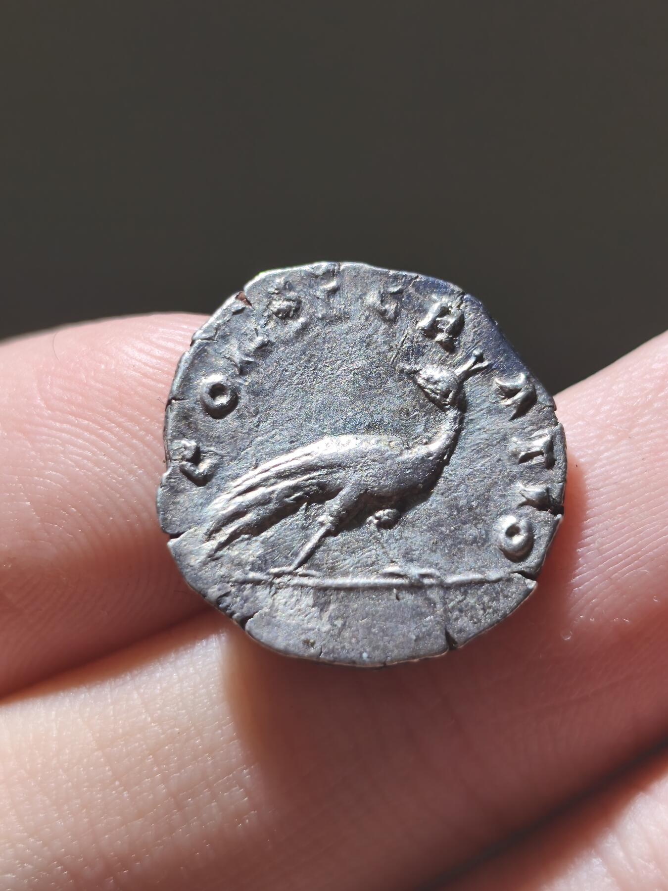 星盘世界钱币2026一月十日新年古典精品大拍 精彩纷呈 精美！古罗马帝国 - 安娜·伽列里娅·福斯蒂娜 (大福斯蒂娜) 第纳里银币 背面孔雀，这是非常经典的名誉品种，孔雀币也是非常受到藏家追捧的一类型，这一枚无论从表面还是打制来讲，都是绝对可以美美入藏的精品