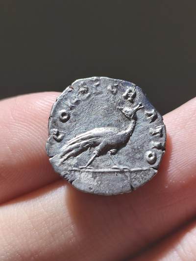 精美！古罗马帝国 - 安娜·伽列里娅·福斯蒂娜 (大福斯蒂娜) 第纳里银币 背面孔雀，这是非常经典的名誉品种，孔雀币也是非常受到藏家追捧的一类型，这一枚无论从表面还是打制来讲，都是绝对可以美美入藏的精品