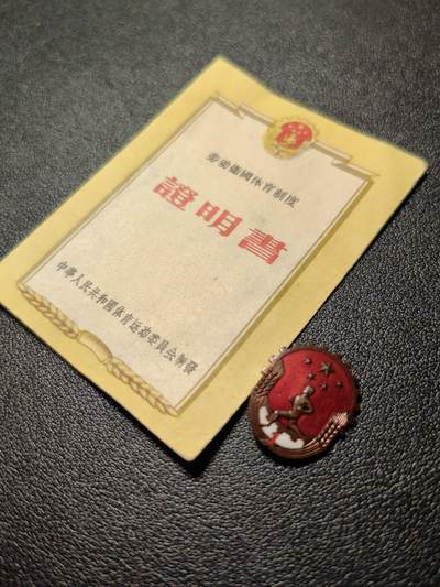 靖甫拍卖新拍第一场 - 劳卫制证章带证