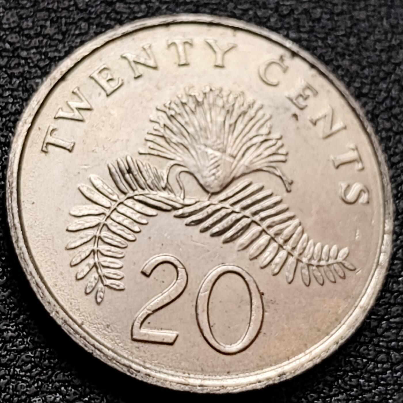 泉币菌-第157场-跨年欢乐场（特修改截拍时间为23:30分）