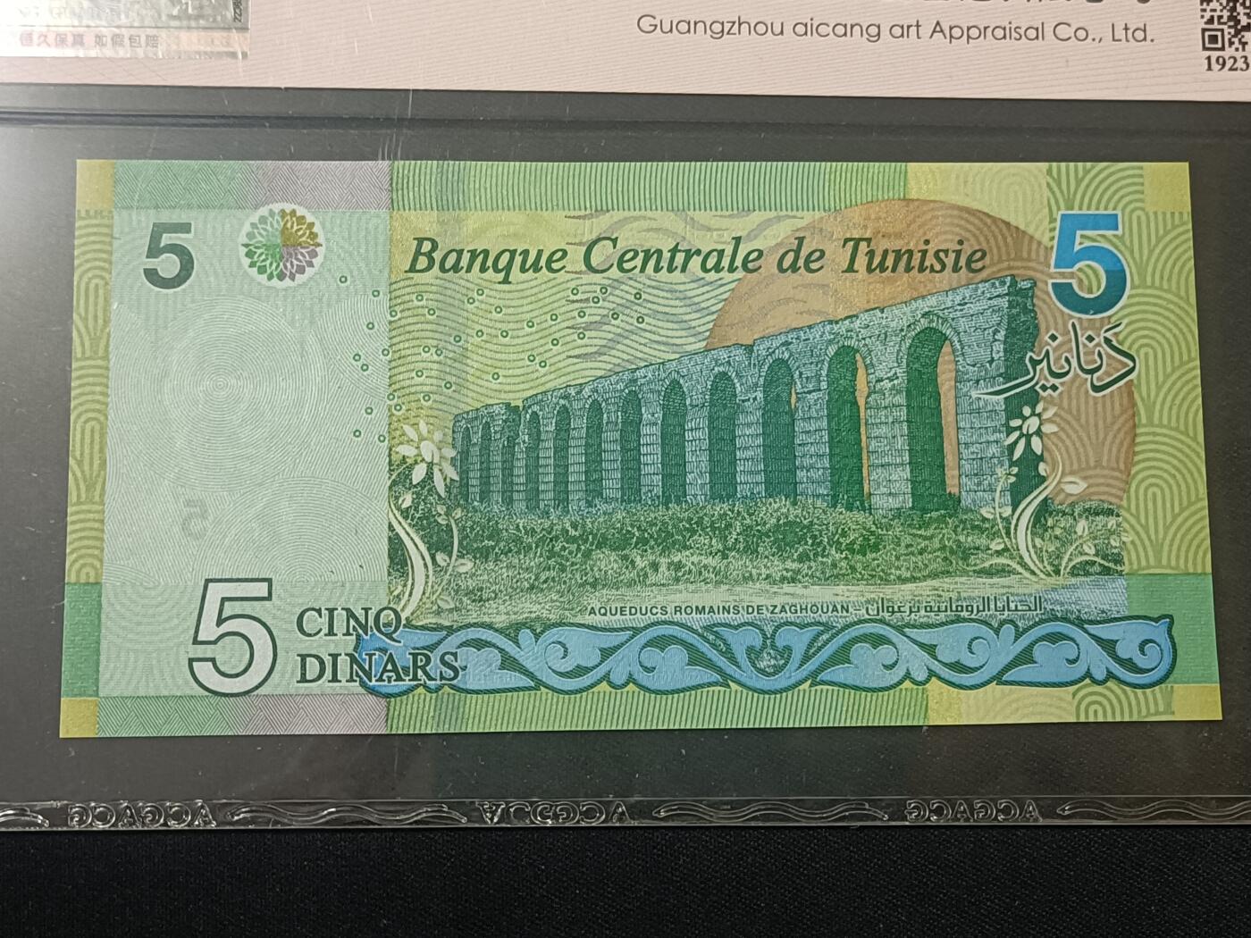 【游宝包邮场】蛇年第104期 