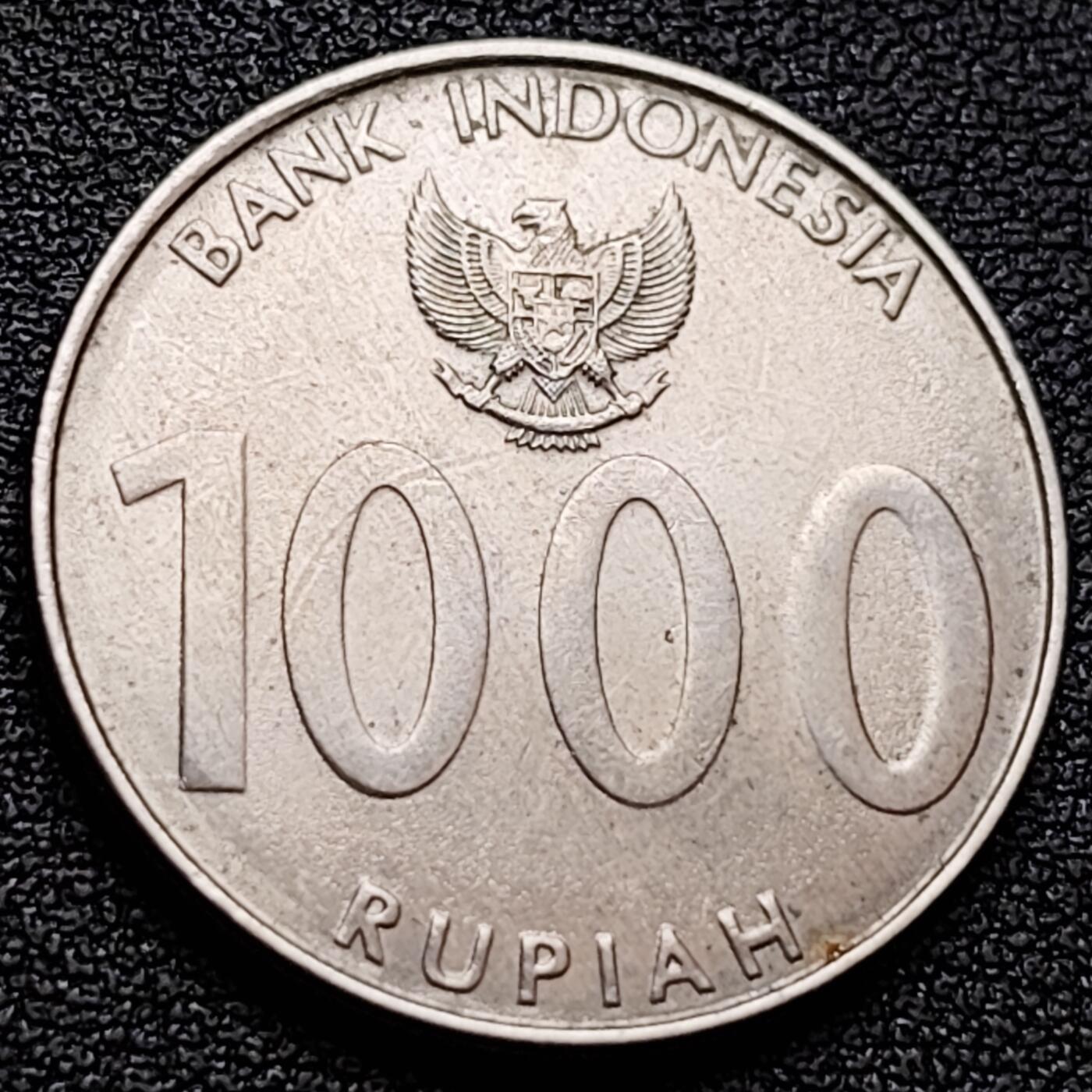 泉币菌-第157场-跨年欢乐场（特修改截拍时间为23:30分）