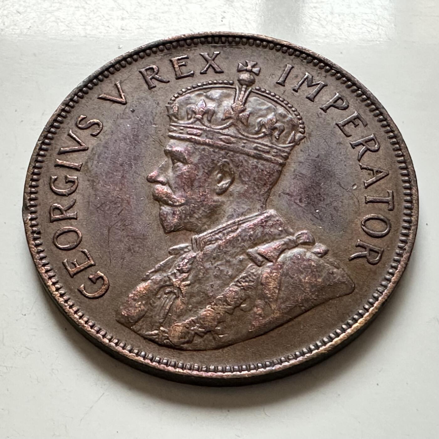 🌹外币初藏🌹🐯2026年第1场  每周二四六晚8️⃣点 接代拍 英属南非1934年一便士