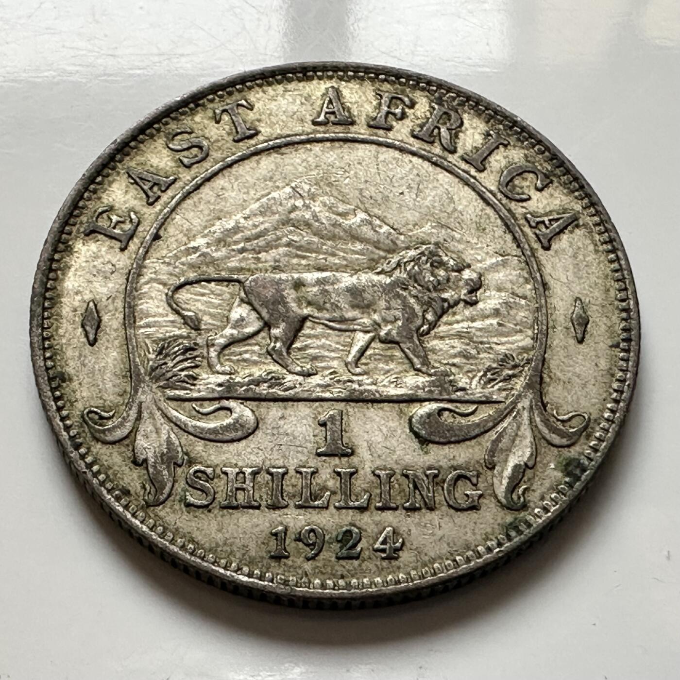 🌹外币初藏🌹🐯2026年第1场  每周二四六晚8️⃣点 接代拍 英属东非1924年一先令银币