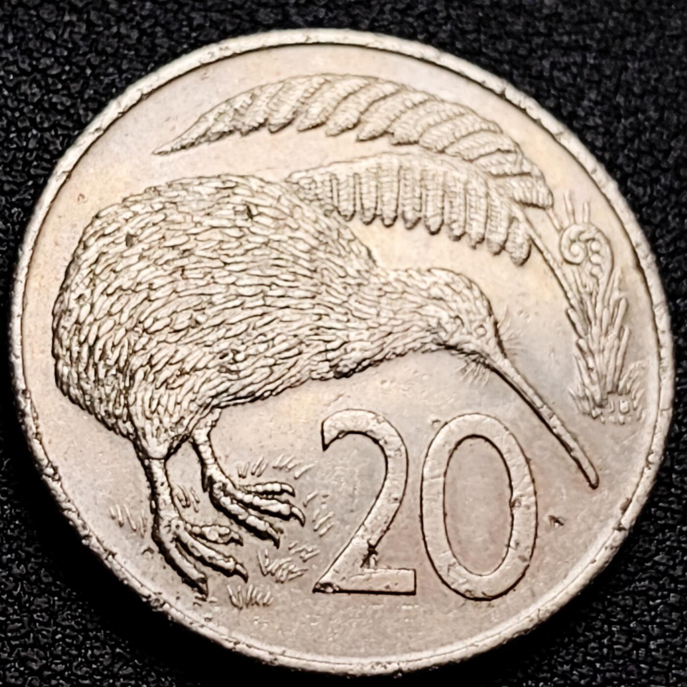 泉币菌-第158场-元旦欢乐场，开年第一场，新年快乐！（特修改截拍时间为23:30分） 。