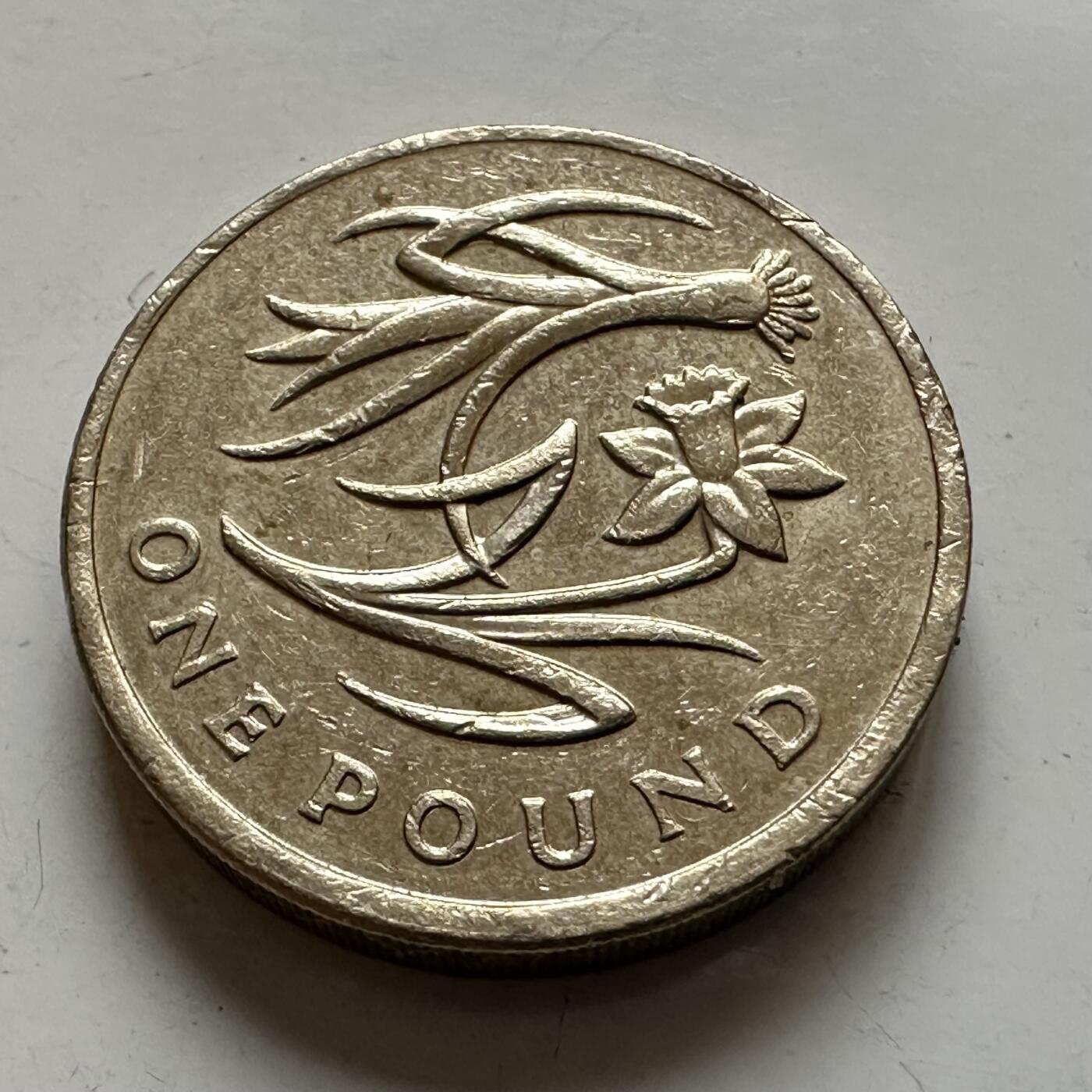 🌹外币初藏🌹🐯2026年第1场  每周二四六晚8️⃣点 接代拍 英国2013年一英镑