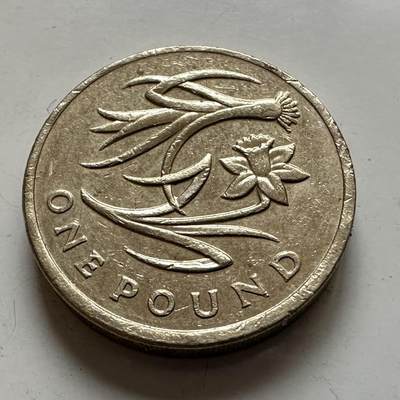 🌹外币初藏🌹🐯2026年第1场  每周二四六晚8️⃣点 接代拍 - 英国2013年一英镑