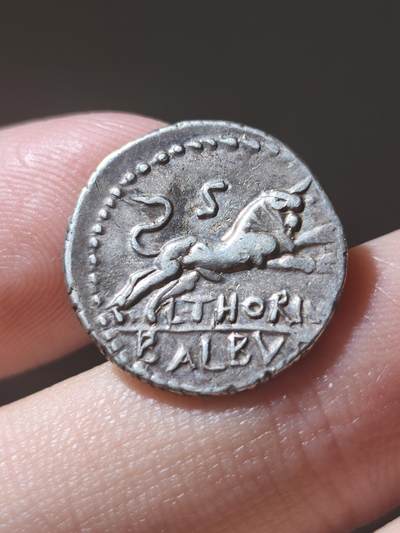 典藏极美品！古罗马共和国 朱诺第纳里银币  L·索里乌斯·巴尔布斯（L. Thorius Balbus），这是经典的一枚朱诺披山羊皮的银币，一般朱诺都长得比较丑，但是这一枚算是比较漂亮的