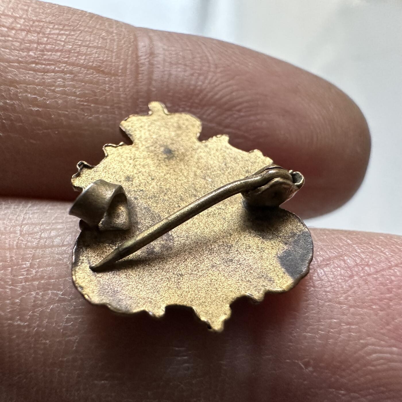 🌹外币初藏🌹🐯2026年第1场  每周二四六晚8️⃣点 接代拍 皇冠枫叶胸针 珐琅工艺