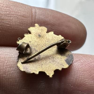 🌹外币初藏🌹🐯2026年第1场  每周二四六晚8️⃣点 接代拍 皇冠枫叶胸针 珐琅工艺