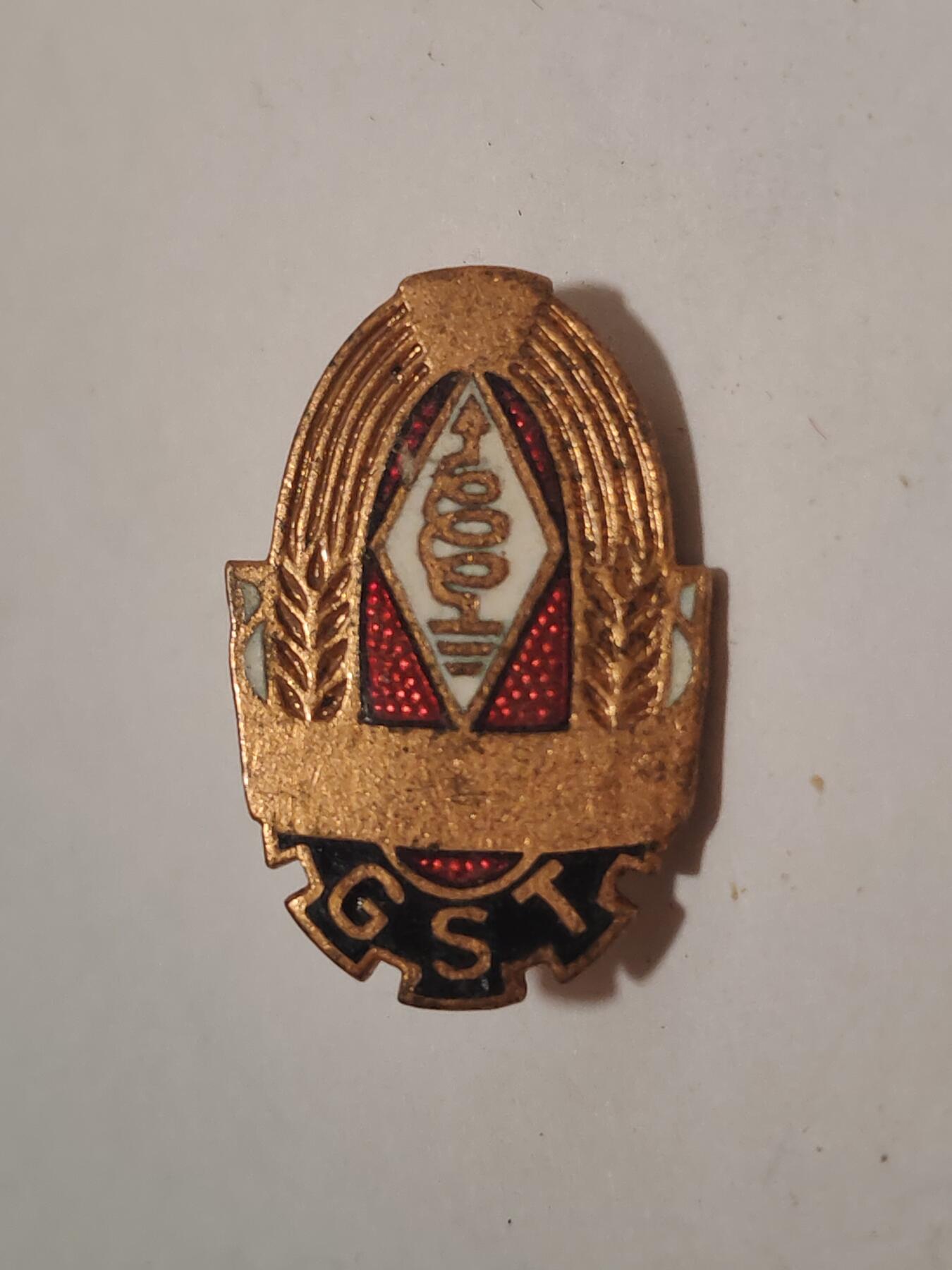 韵星假日拍卖第三十四期 -- Rimey Holidays Auction 34 民主德国gst铜级准军事组织技术成员证章 早期