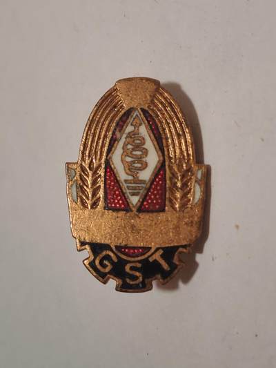 韵星假日拍卖第三十四期 -- Rimey Holidays Auction 34 - 民主德国gst铜级准军事组织技术成员证章 早期